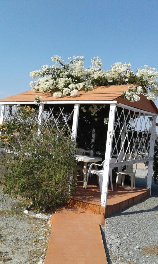 Mersinera Paradise Garden Stars House Lárnaca Exterior foto